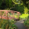 Garden in Avenham Park: Preston, Lancashire