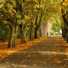 Avenham Park: Preston, Lancashire