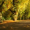 Avenham Park II: Preston, Lancashire