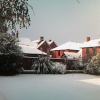 Snowy days in the yard of Wellington School