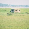 A picture of Sharpness