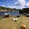 Gorran Haven harbour and beach, Cornwall