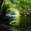 Fingle Bridge river walk, Teign Gorge walk, near Castle Drogo, Devon.
