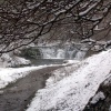 Waterfall in Lathkill Dale, Derbyshire, on a snowy day, March 2006.