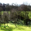 Maltby Beck, (near Rotherham ) South Yorkshire, winding its way to Roche Abbey and beyond.