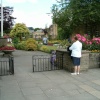Flowers in Bakewell, Derbyshire