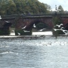 The groves, River Dee, Chester
