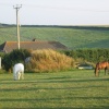 Sydling St Nicholas. Dorset