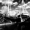 Maldon dock.