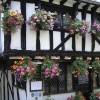 A pub in Dartmouth, Devon