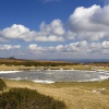 On top of Hergest Ridge, March 2006, Kington, Herefordshire.
