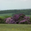 Emmetts Gardens, Ide Hill, Nr Sevenoaks. Featured in the 1985 film, 'Room with a View'