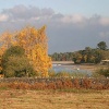 Bradgate Park in Leicestershire