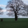 Field near the lakes in Henlow, Bedfordshire