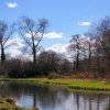 Stockbridge marsh, Hampshire