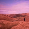 Winters day in the Cheviot hills, Northumberland