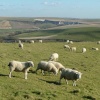 Sunny winters day on the South Downs, West Sussex.