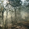 Pleasington, Blackburn. On a Cold November morning.