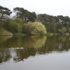 Osbourne's Pond in Spring, Shipley Country Park, Derbyshire