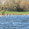 Draycote Water in April
