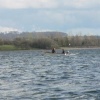 Draycote Water in April