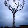 Wymering 'Tree of Life'. Wymering, Hampshire