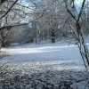 Smallbrook Snow: Warminster