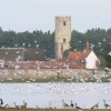 Ampton Water, Great Livermere, Suffolk