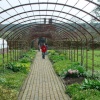 Bateman's Garden