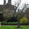 Bateman's Garden