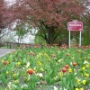 Victoria Park, Ilkeston, Derbyshire
