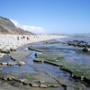 Monmouth Beach at Lyme Regis, Dorset.