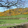 Scene on the back lanes towards the Whicham valley from The Green, near Millom, Cumbria.