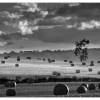Harvesting time, Arthington, West Yorkshire