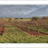 Knowle Hill, Nr Evesham