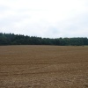 Badby Woods.  Pictures by David Graham Adkins, Chippenham, Wiltshire