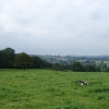 Everdon Meadows looking towards Badby. Pictures by David Graham Adkins, Chippenham, Wiltshire