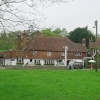 A picture of Brook