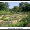Central Park. Peterborough, Cambridgeshire.