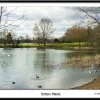 Orton Mere. Peterborough, Cambridgeshire.