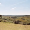 New Forest, Hampshire