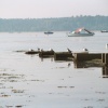 Poole Harbour, Poole