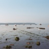 Poole Harbour, Low tide
