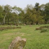 Nine ladies stone circle and king rock