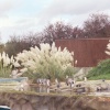 Peruvian Humboldt penguins in Chester Zoo