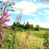 Moor House near Lea, Gainsborough, Lincolnshire.