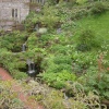 The Windsor castle garden