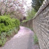 Guildford Palace - Garden Walkway