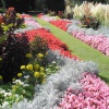 A garden in Lewes, E.Sussex.  Sept. 2005