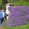 Bisley, Gloucestershire, Cotswolds.